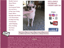 Tablet Screenshot of chihuahua-puppy.com